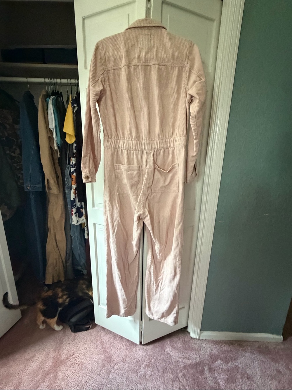 Celebrity Pink Blush Button-Front Utility Jumpsuit - Picture 4 of 4
